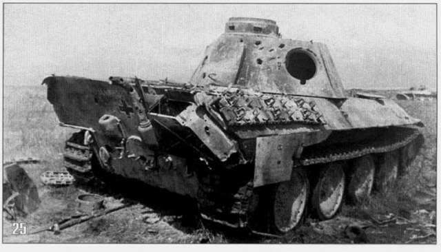 Битая Пантера 03.jpg